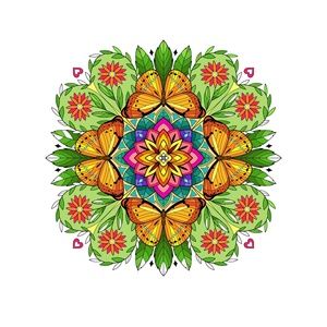 Meet your Posher, Allana